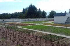 AS Zvolen - zelená strecha